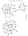 Fig. 06 - Preparation of nanoparticle materials