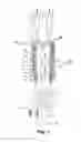 Fig. 02 - FLUID COKING USING HIGH THRUST FEED NOZZLES