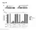 Fig. 16 - Methods for cleaving DNA and RNA molecules
