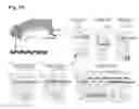 Fig. 22 - Methods for cleaving DNA and RNA molecules