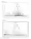 Fig. 02 - PROBIOTIC COMPOSITION AS LEATHER AUXILIARY AGENTS AND USE THEREOF