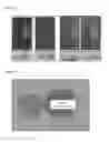 Fig. 07 - PROBIOTIC COMPOSITION AS LEATHER AUXILIARY AGENTS AND USE THEREOF