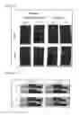 Fig. 08 - PROBIOTIC COMPOSITION AS LEATHER AUXILIARY AGENTS AND USE THEREOF