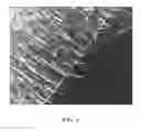 Fig. 07 - Polymeric nanofibers and nanofibrous web