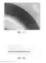 Fig. 08 - Polymeric nanofibers and nanofibrous web