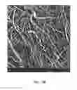 Fig. 22 - Polymeric nanofibers and nanofibrous web