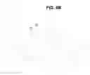 Fig. 07 - Vacuum glazing and method for manufacturing the same