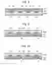 Fig. 08 - ELECTRONIC APPARATUS AND PHOTOELECTRIC CONVERSION DEVICE MANUFACTURING METHOD