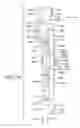 Fig. 23 - Indexer, indexer retrofit kit and method of use thereof
