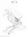 Fig. 14 - Automotive display device