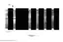 Fig. 19 - System and method for creating an image and/or automatically interpreting images