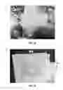 Fig. 07 - Object detection and image cropping using a multi-detector approach