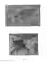 Fig. 23 - POINT CLOUD DATA HIERARCHY