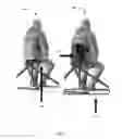 Fig. 04 - Generating 3D structures using genetic programming to satisfy functional and geometric constraints