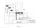 Fig. 06 - Display panel, panel lighting test method of the same and display device