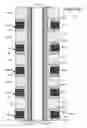 Fig. 09 - Single-port memory with opportunistic writes