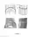 Fig. 03 - Nuclear fusion fuel
