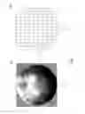Fig. 02 - Apparatus and method for controlling wafer uniformity