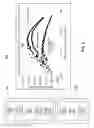 Fig. 04 - CORROSION-RESISTANT SOLID-STATE PHOTO-ELECTRODE