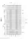 Fig. 09 - Chip-on-film semiconductor device