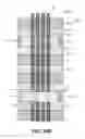 Fig. 45 - Differentiated voltage threshold metal gate structures for advanced integrated circuit structure fabrication