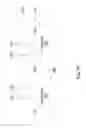Fig. 13 - Semiconductor device and fabrication thereof