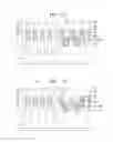 Fig. 09 - Semiconductor memory device