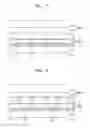 Fig. 09 - Display device and method of manufacturing same