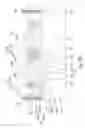Fig. 44 - Semiconductor device and manufacturing method thereof