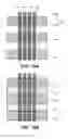 Fig. 23 - Trench contact structures for advanced integrated circuit structure fabrication
