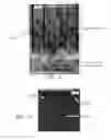 Fig. 06 - Placement of carbon nanotube guided by DSA patterning