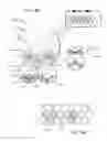 Fig. 07 - Multi-beam MIMO antenna systems and methods