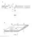 Fig. 02 - Electronic device, and radio-frequency device and signal transmission component thereof