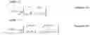 Fig. 136 - Receiving method and receiving apparatus
