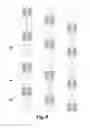 Fig. 06 - Method and apparatus for multiplexing demodulation reference signals and communication system