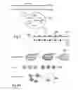 Fig. 07 - Modular software based video production server, method for operating the video production server and distributed video production system