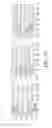Fig. 08 - Methods and systems for accurate and accelerated synchronization for communication networks
