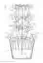 Fig. 01 - Hydroponic Growing System, Planting Tower and Method