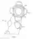 Fig. 02 - PET TOY MADE OF MULTIPLE MATERIALS