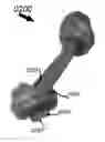 Fig. 01 - Edible pet chew of artificial bully stick