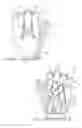 Fig. 06 - Illuminated glove