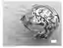 Fig. 01 - Smart helmet