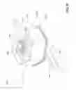 Fig. 07 - Smart helmet