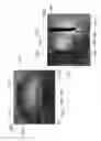 Fig. 43 - Helmet padding system