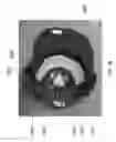 Fig. 49 - Helmet padding system