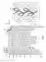 Fig. 02 - Expandable support member for an article of footwear
