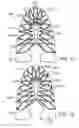 Fig. 09 - Expandable support member for an article of footwear