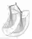 Fig. 01 - Hanging chair with collapsible spreader bar