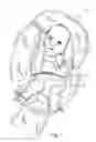 Fig. 02 - Infant holder