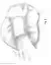Fig. 04 - Infant holder